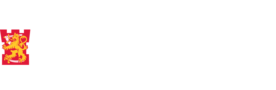Puolustusvoimat