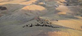 Kertauskoulutusta peshmergoille