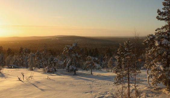 Sodankylän talvimaisemaa. Kuva Puolustusvoimat.