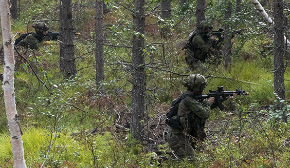 Maastopukuisia henkilöitä aseineen metsässä.