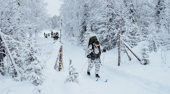 Sotilaat hiihtävät metsässä