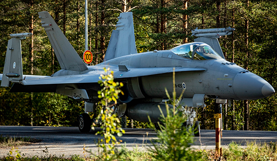 Hornet fighter on tarmac, forest in the background.