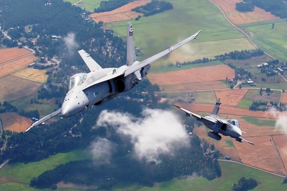 Hornet och Gripen