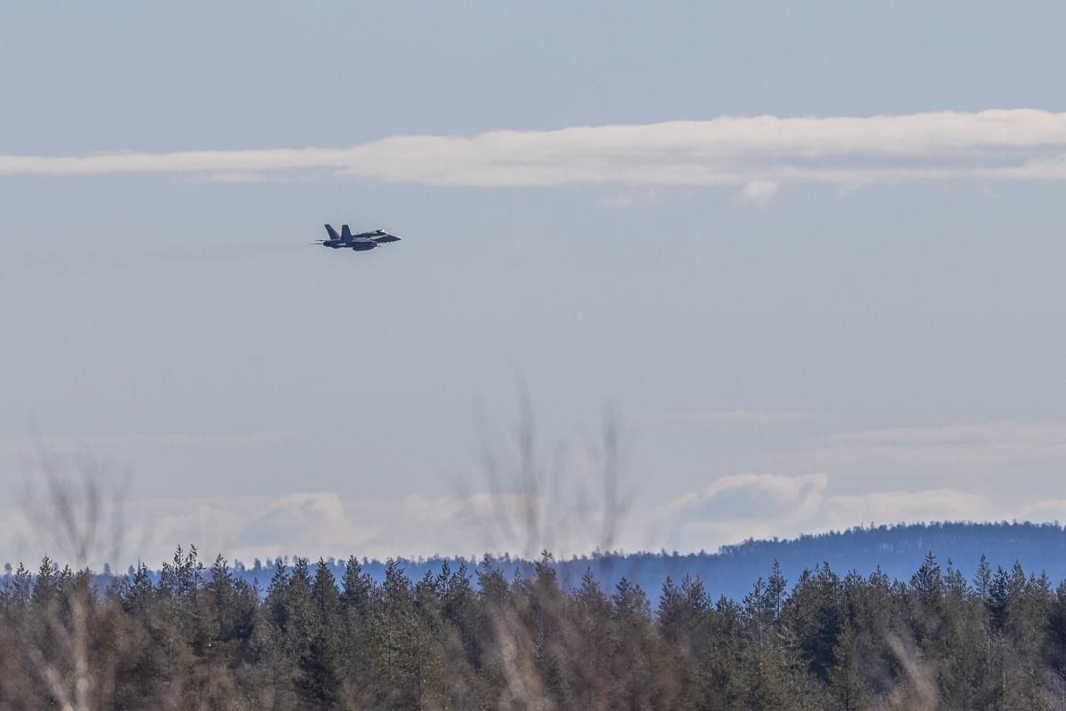 Hornet-hävittäjä lentää matalalla puuston yllä.