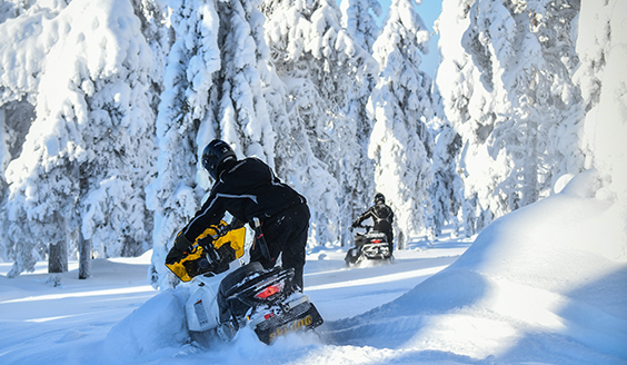 Kaksi moottorikelkkaa ajaa Lapin lumisessa metsässä päivänvalossa.