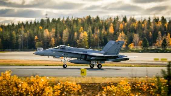 F/A-18 Hornet