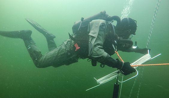 Raivaajasukeltaja suorittaa raivaustehtävää sukellusvarusteissa vedenpinnan alapuolella.