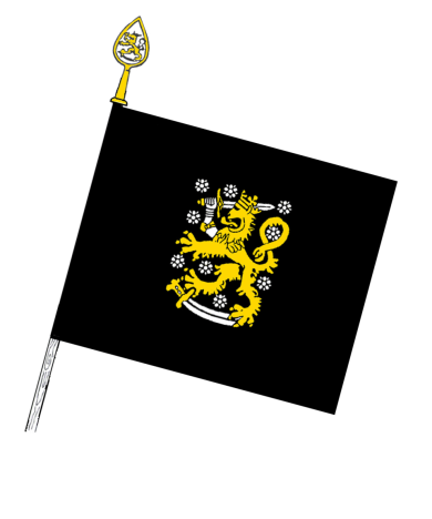 Pioneerikoulun perinnelippu on musta ja sen keskellä on keltainen Suomi-leijona ja valkoisia ruusukkeita.
