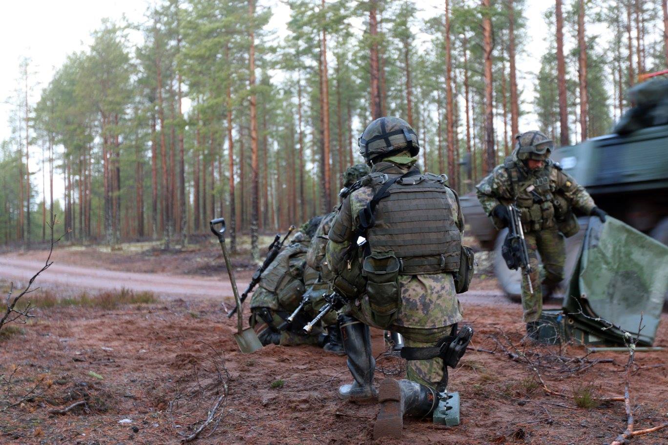 kuva: Puolustusvoimat Sotilaita metsässä harjoituksessa.